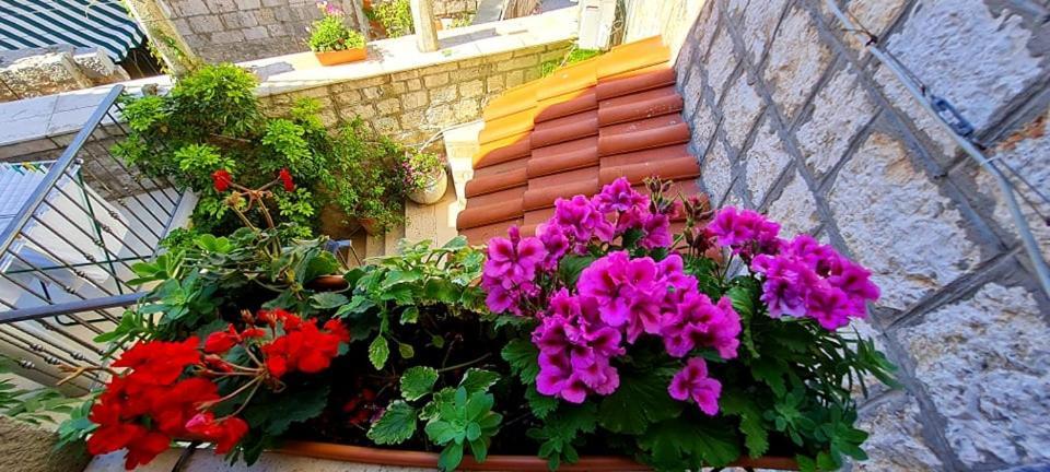 Bed & Breakfast Dionis Vis Ngoại thất bức ảnh