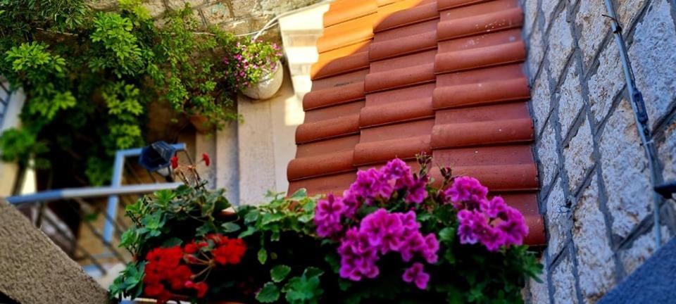 Bed & Breakfast Dionis Vis Ngoại thất bức ảnh