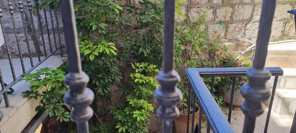 Bed & Breakfast Dionis Vis Ngoại thất bức ảnh